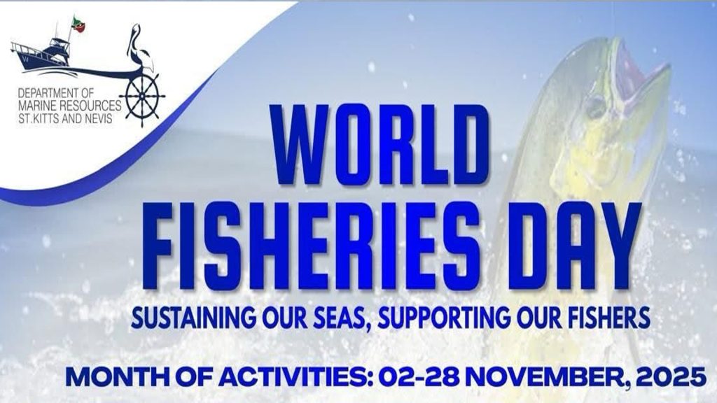 World Fisheries Day – Wear Blue Day