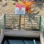 Five in One Fete 6.0