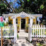 Landfill on Fire – What You Should Know