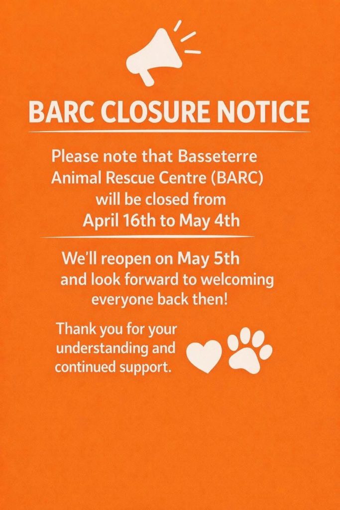 Basseterre Animal Rescue Temporary Closure