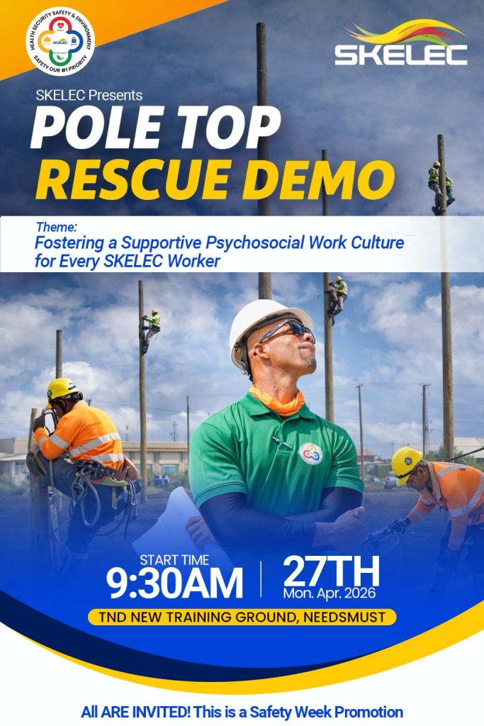 SKELEC Presents Pole Top Rescue Demo